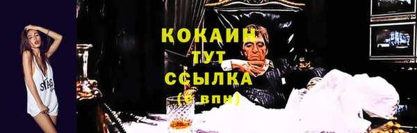 кокаин перу Дмитриев