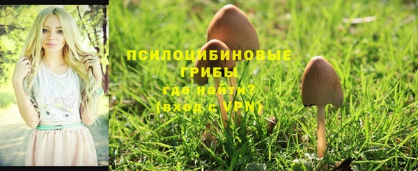 скорость mdpv Дмитров