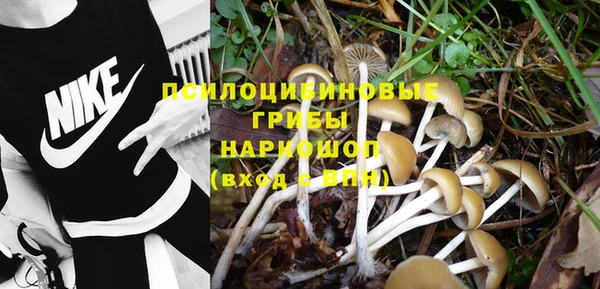 трава Дмитровск